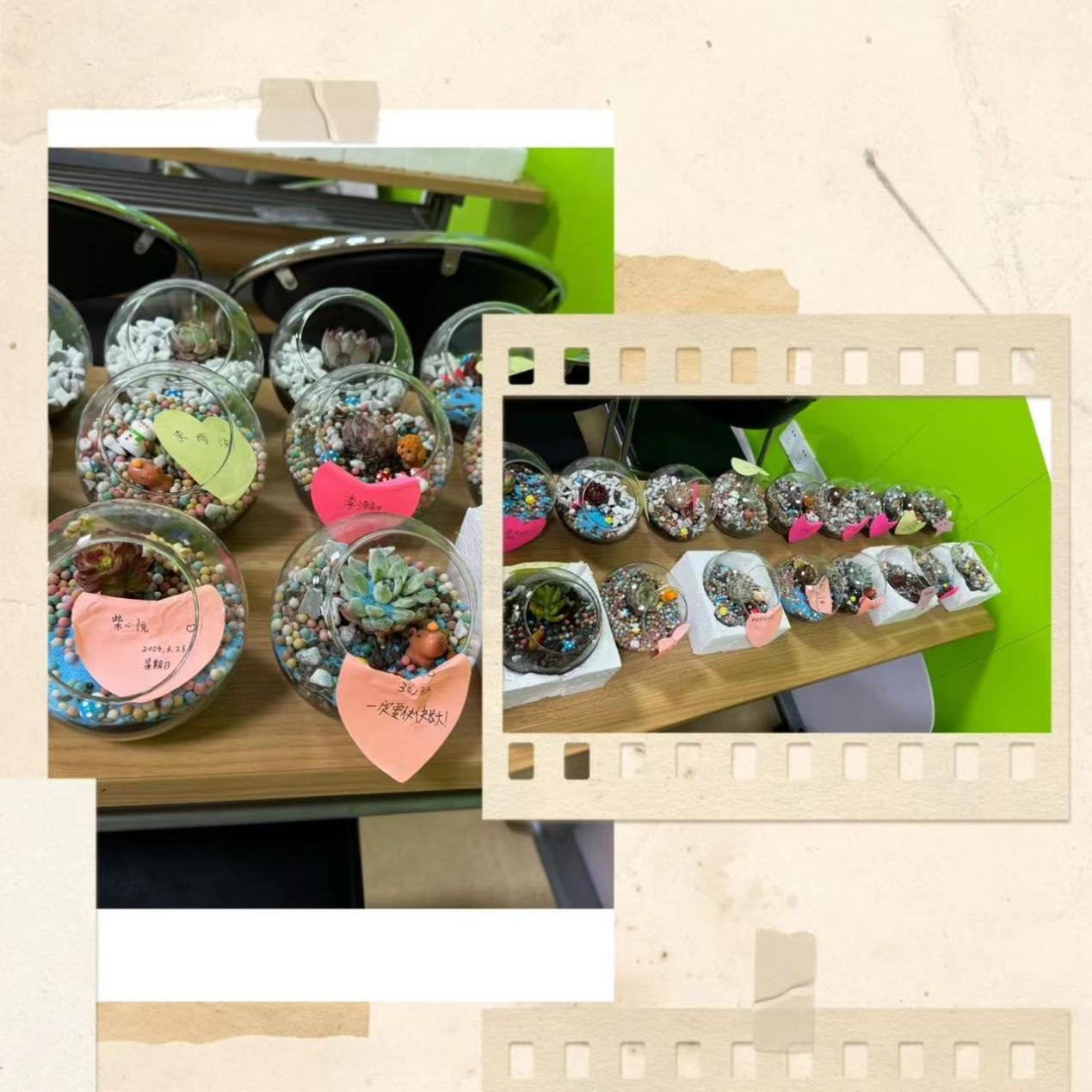 “志”美青年? ? ?春“鋒”依舊 “志”美青年? ? ?春“鋒”依舊