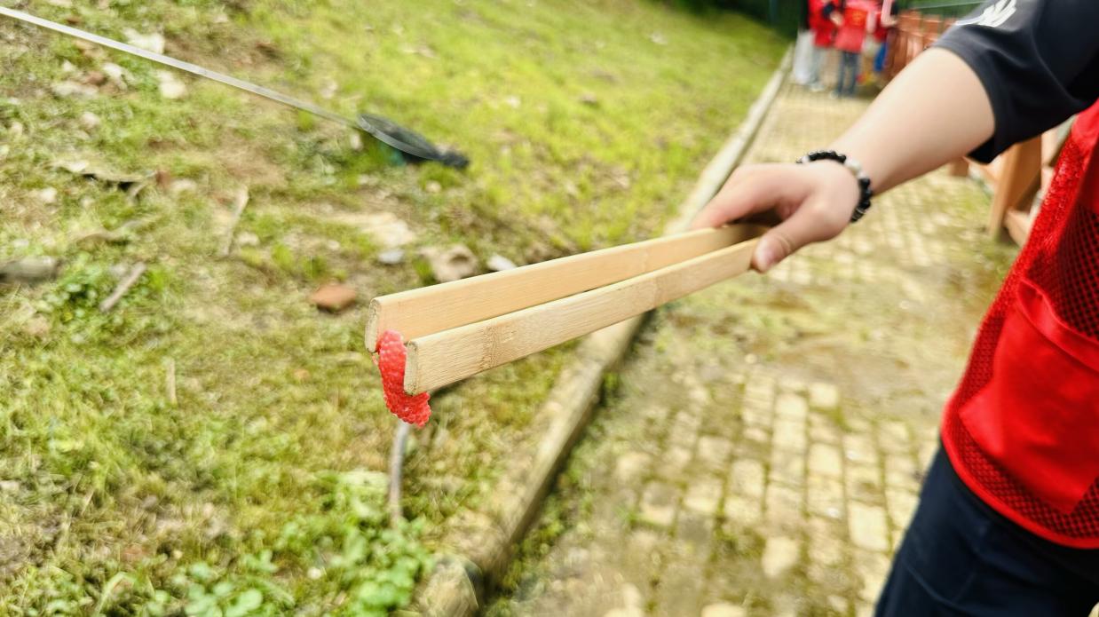 志愿之紅,共創(chuàng)新綠 志愿之紅,共創(chuàng)新綠