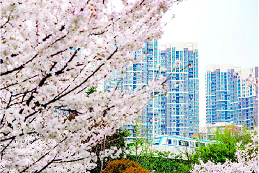 15年前今天武漢地鐵開通首條線路 至今已運(yùn)送乘客超48億乘次