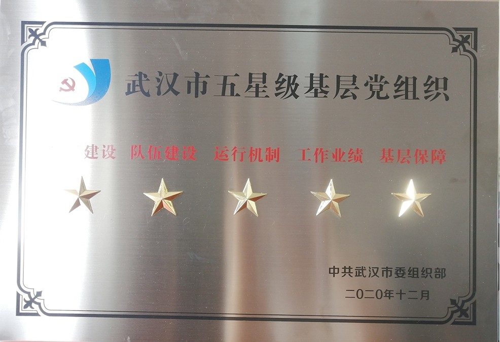 我院黨委榮獲“武漢市五星級黨組織”榮譽稱號