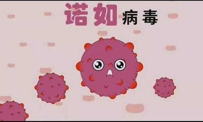 get諾如病毒相關知識