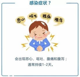 get諾如病毒相關知識