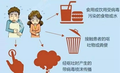 get諾如病毒相關知識