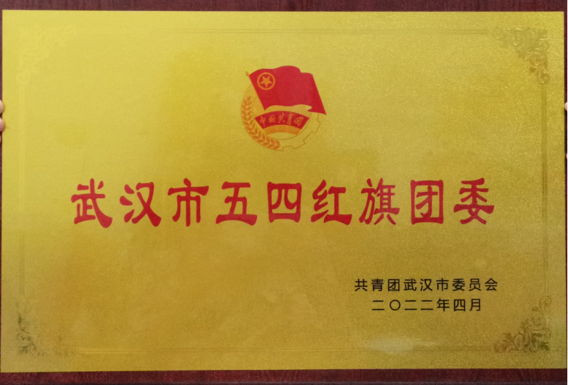 喜報！我校團委工作榮獲武漢市和武昌區(qū)五四表彰多項榮譽