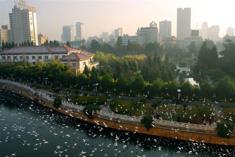 母親河盤龍江 http://m.huanghaiwang.com.cn/