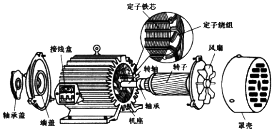三相異步電動(dòng)機(jī)的結(jié)構(gòu)
