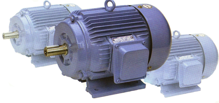交流三相電機(jī)