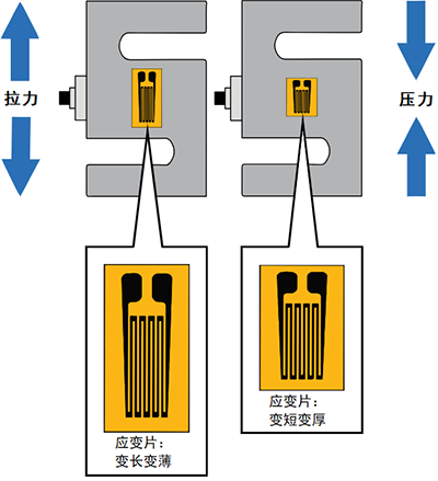 稱重傳感器內(nèi)部結(jié)構(gòu)